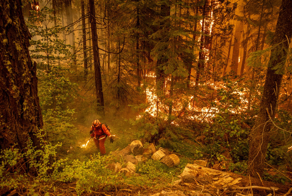 California Inmates Work To Help Contain Wildfires